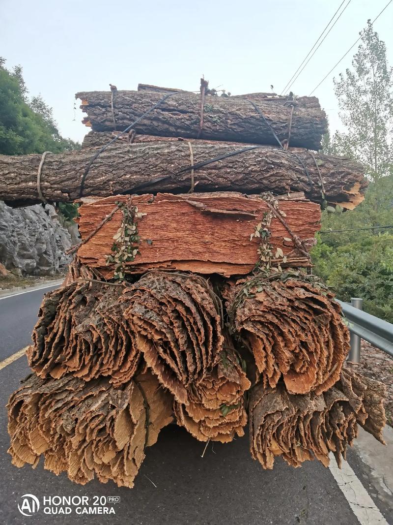 收购栓皮,质硬价美,欢迎骚扰#各种药材 #祝刷到的朋友开心快 - 抖音