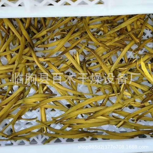 木材烘干设备 竹木筷子烘干炉中药材 工厂直销 食品烘干机热风炉
