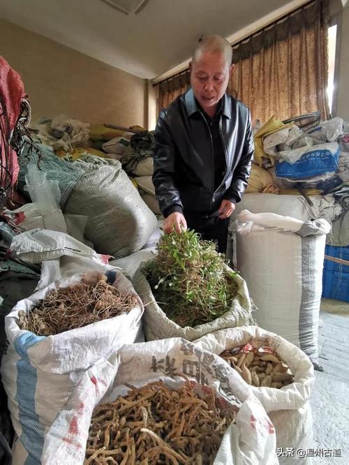 一边放牛,一边还能抽空赚个300块!永嘉这个村有人现金收购