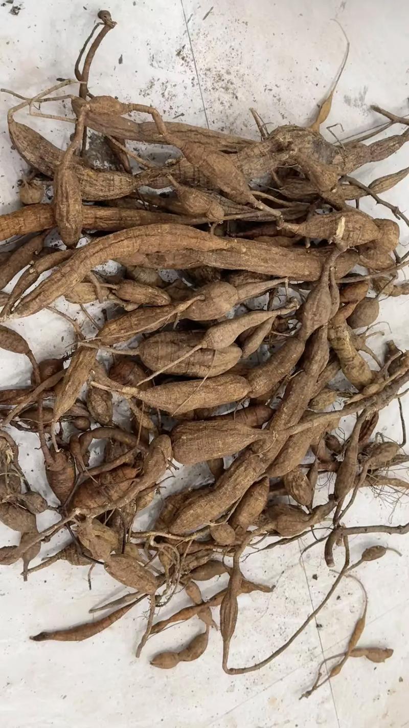 大量收购牛大力#名贵药材