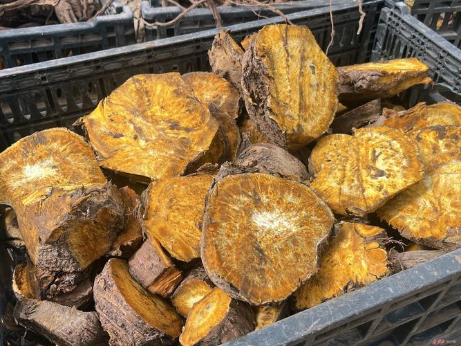 到集种植,加工,仓储,质量检测,新产品研发及销售为一体的现代化企业