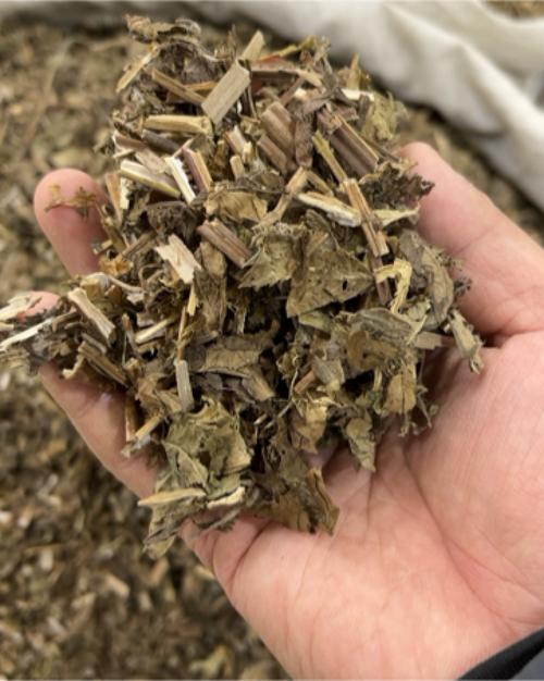 产地自有门市收购,常年收售各类中药材,供应各大饮片厂药厂,货源品质